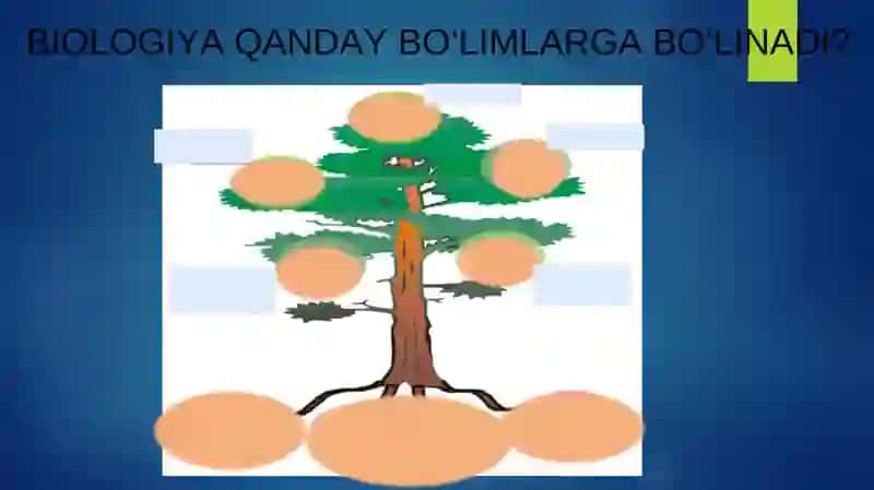 BIOLOGIYA QANDAY BO‘LIMLARGA BO‘LINADI? 2