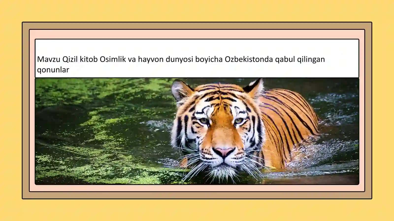 Oʻzbekiston Qizilkitobi 2