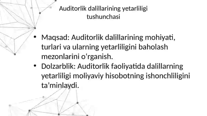 Auditorlik dalillarining yetarliligi tushunchasi 2