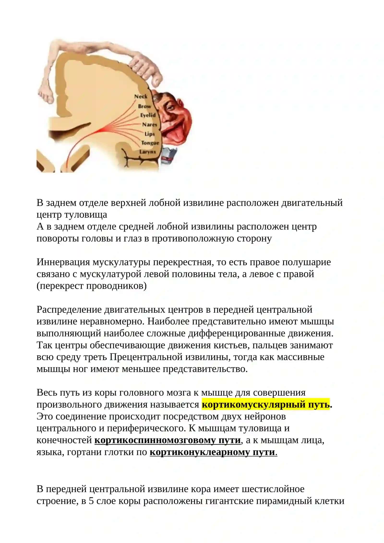Пирамидный путь 2
