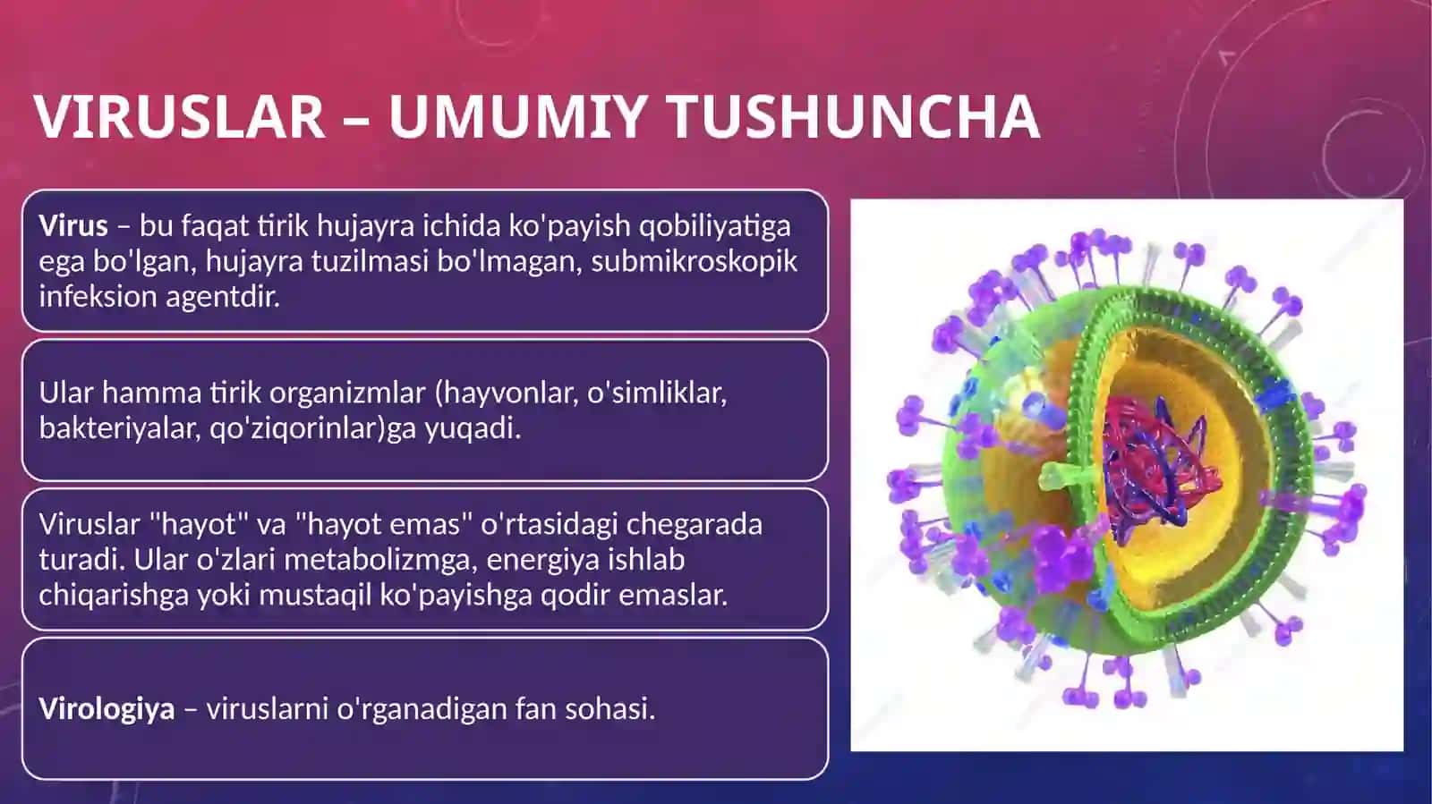 Viruslar. Ularning o'ziga xos umumiy tuzilishi va farqlari 2