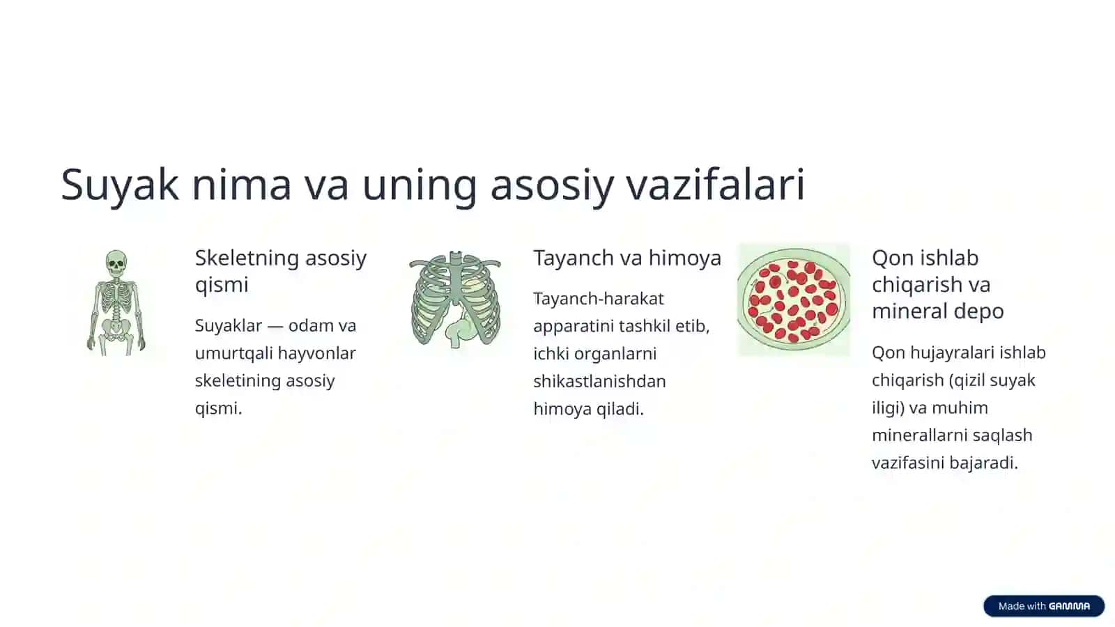 Suyakning turlari va vazifalari 2