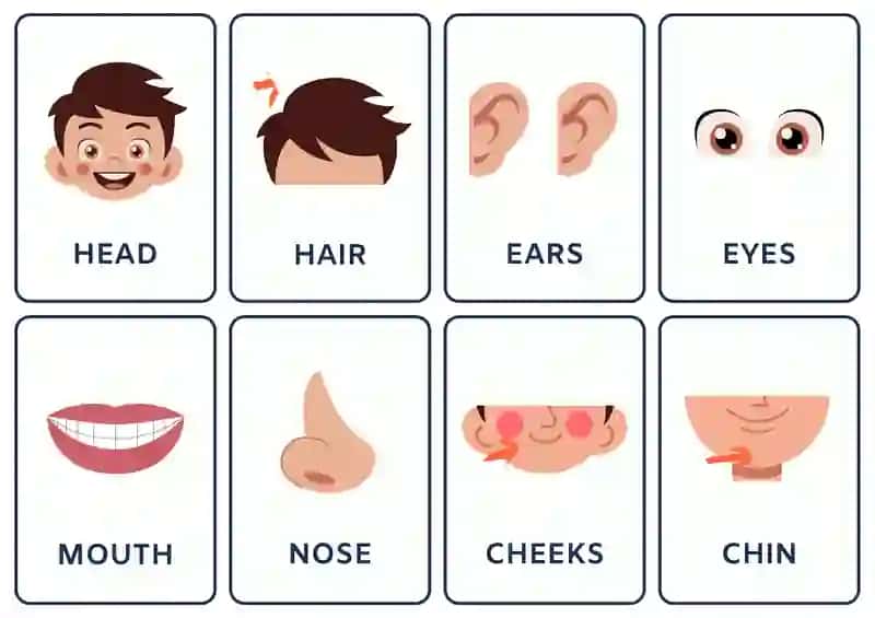 Common Symptoms & Illnesses 2