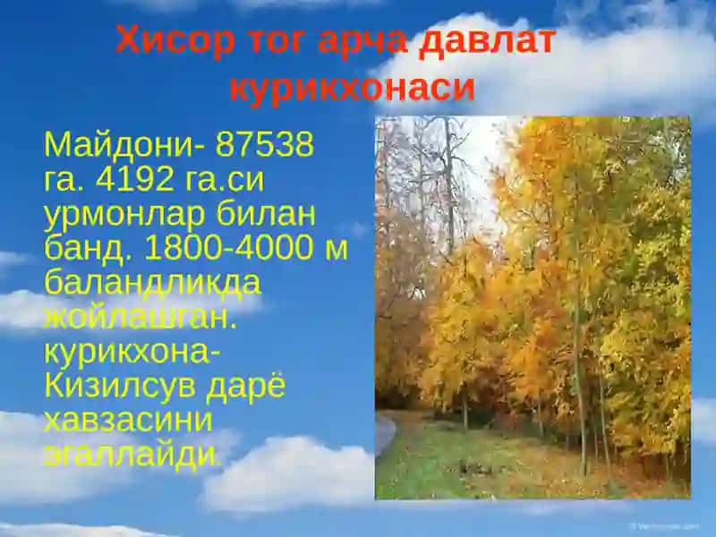 Хисор тог-арча давлат қўртқхонаси 2