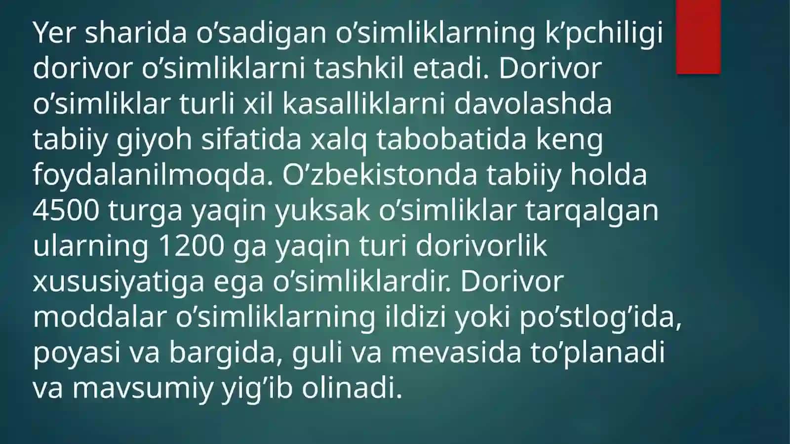Dalachoy 2