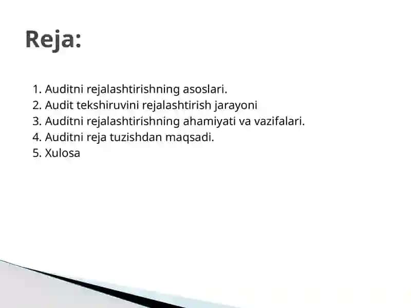 Auditning umumiy rejasini tayyorlash va tuzish 2