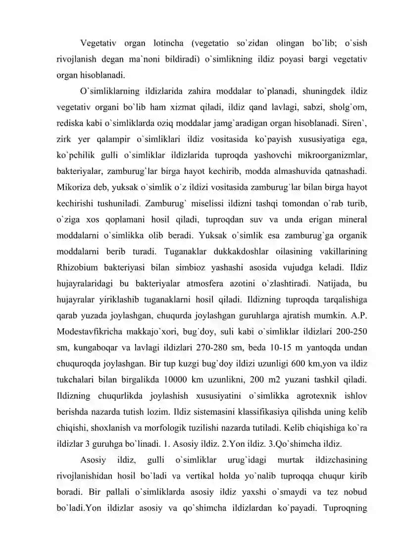 Ildiz haqida umumiy ma'lumotlar 2