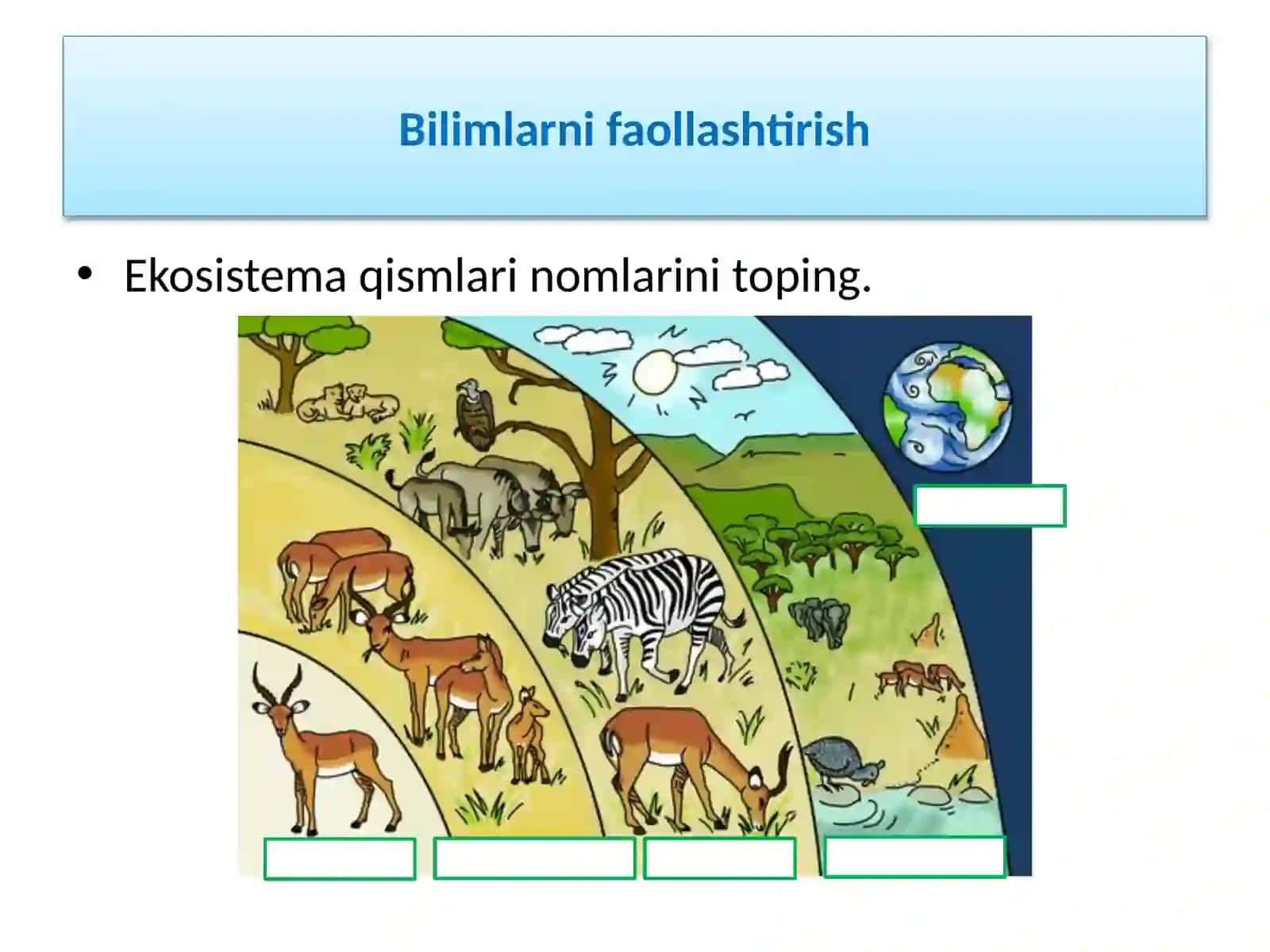 Ekosistemalarda energiya oqimi 2