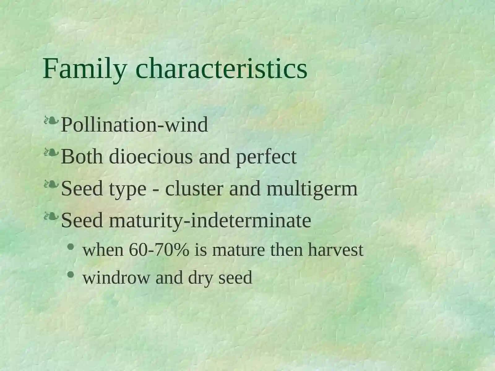 Chenopodiaceae (Goosefoot Family) Organic Seed 2