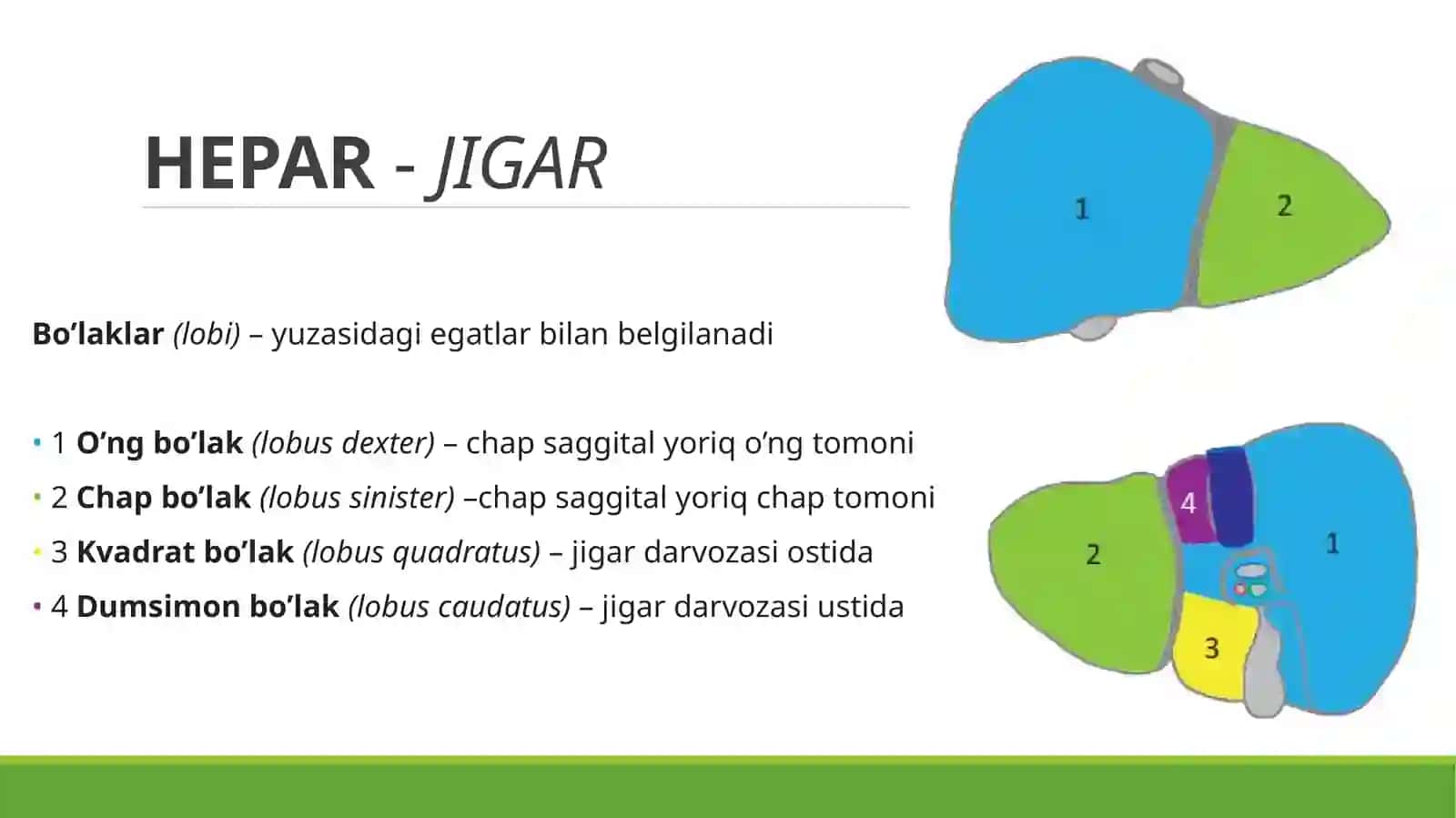 JIGAR. ME’DAOSTI BEZI 2