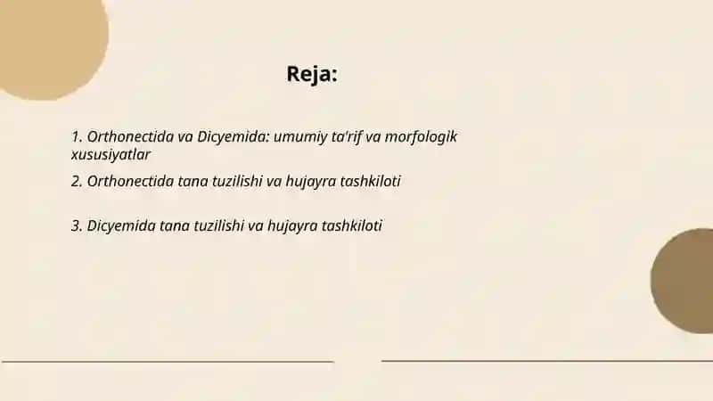 Orthonectida va Dicyemida Muxtorova Dilnoza 2