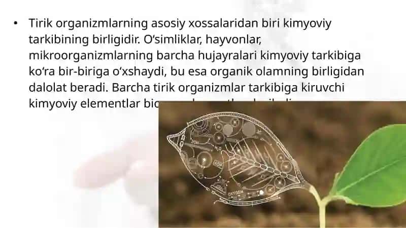 Tirik organizmlarning kimyoviy tarkibi va uning doimiyligi 2