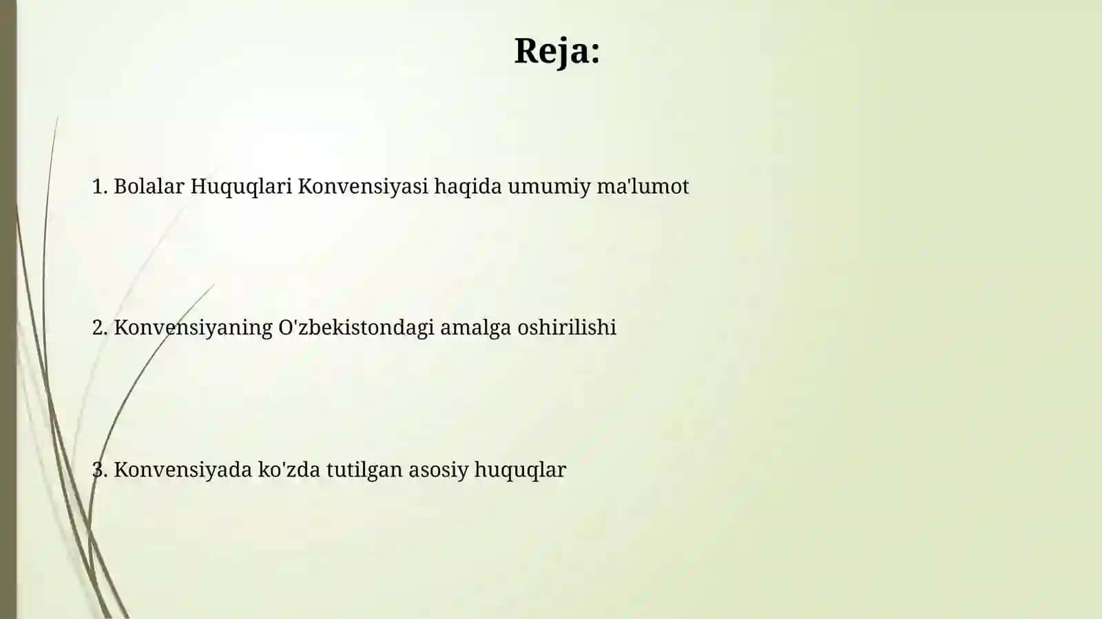 Bolalar Huquqlari Konvensiyasi 2