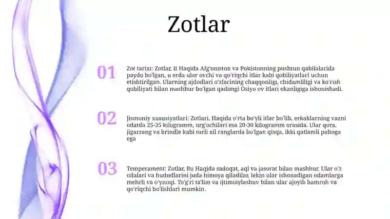 Zotlar 2