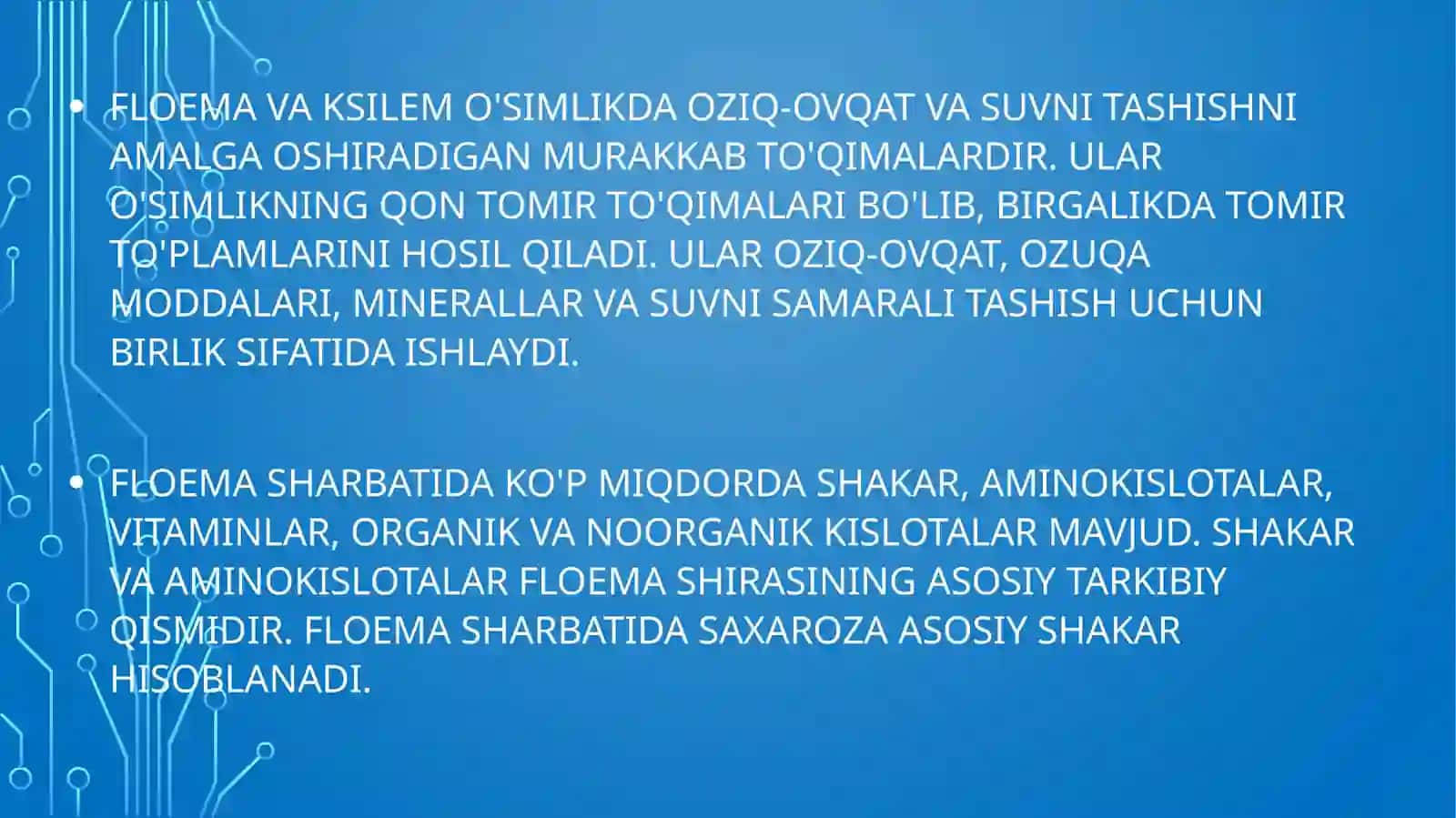 Ksilema va floemaning tuzilishi 2