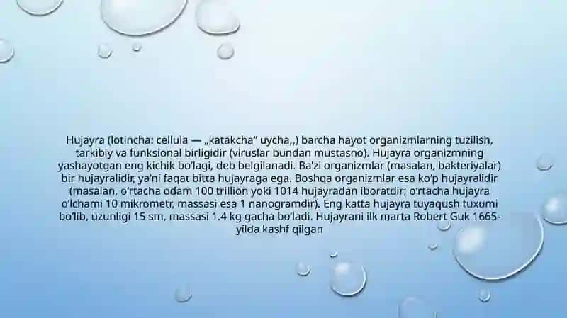 Tukimning moslashuvi 2