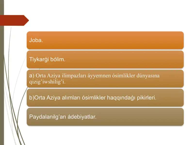 Mirtanomalar tartibi 2