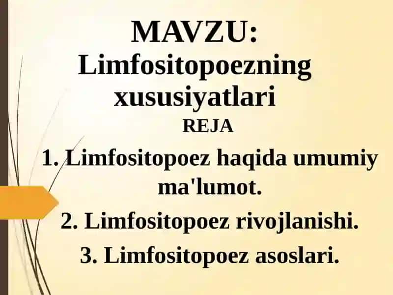 Limfositopoezning xususiyatlari 2