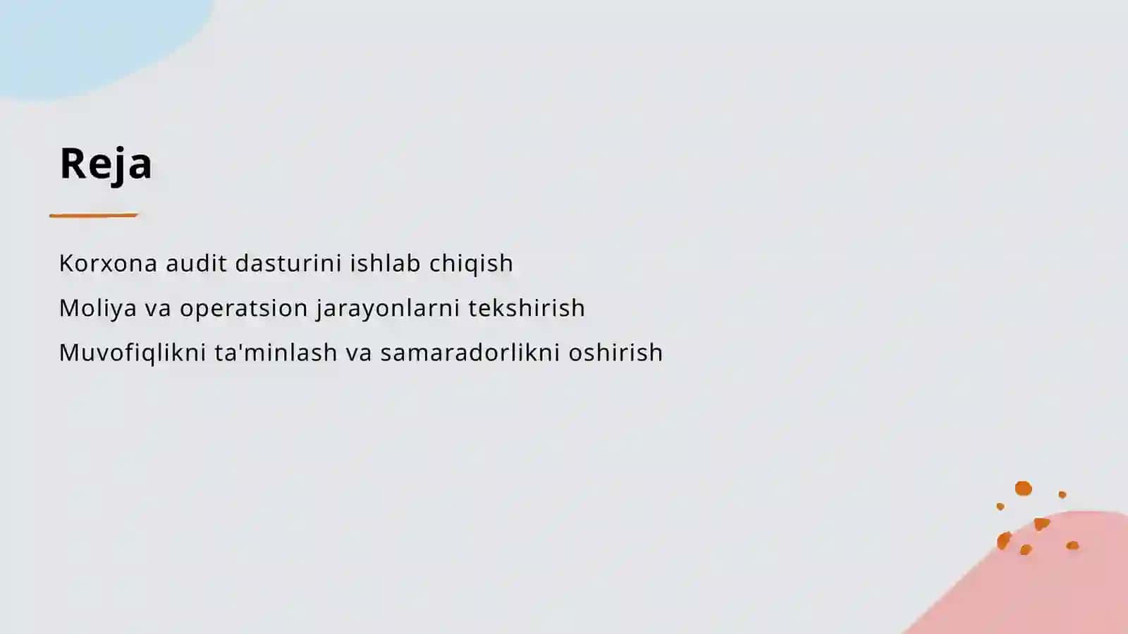Korxonani auditorlik tekshiruvidan oʻtkazish ishchi dasturi 2