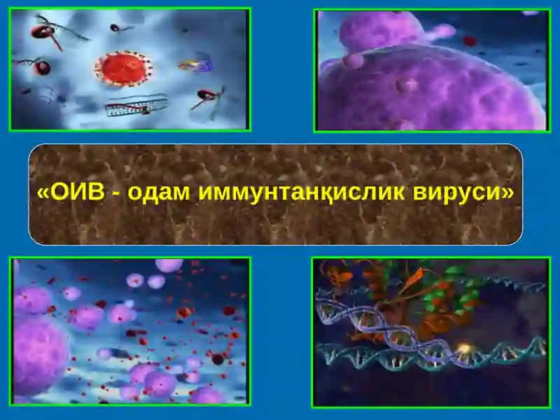 ОИВ - одам иммунтанқисликвируси 2