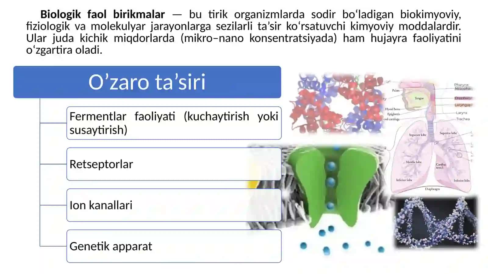 BIOLOGIK FAOL BIRIKMALAR TUSHUNCHASI, TURLARI VA AHAMIYATI 2