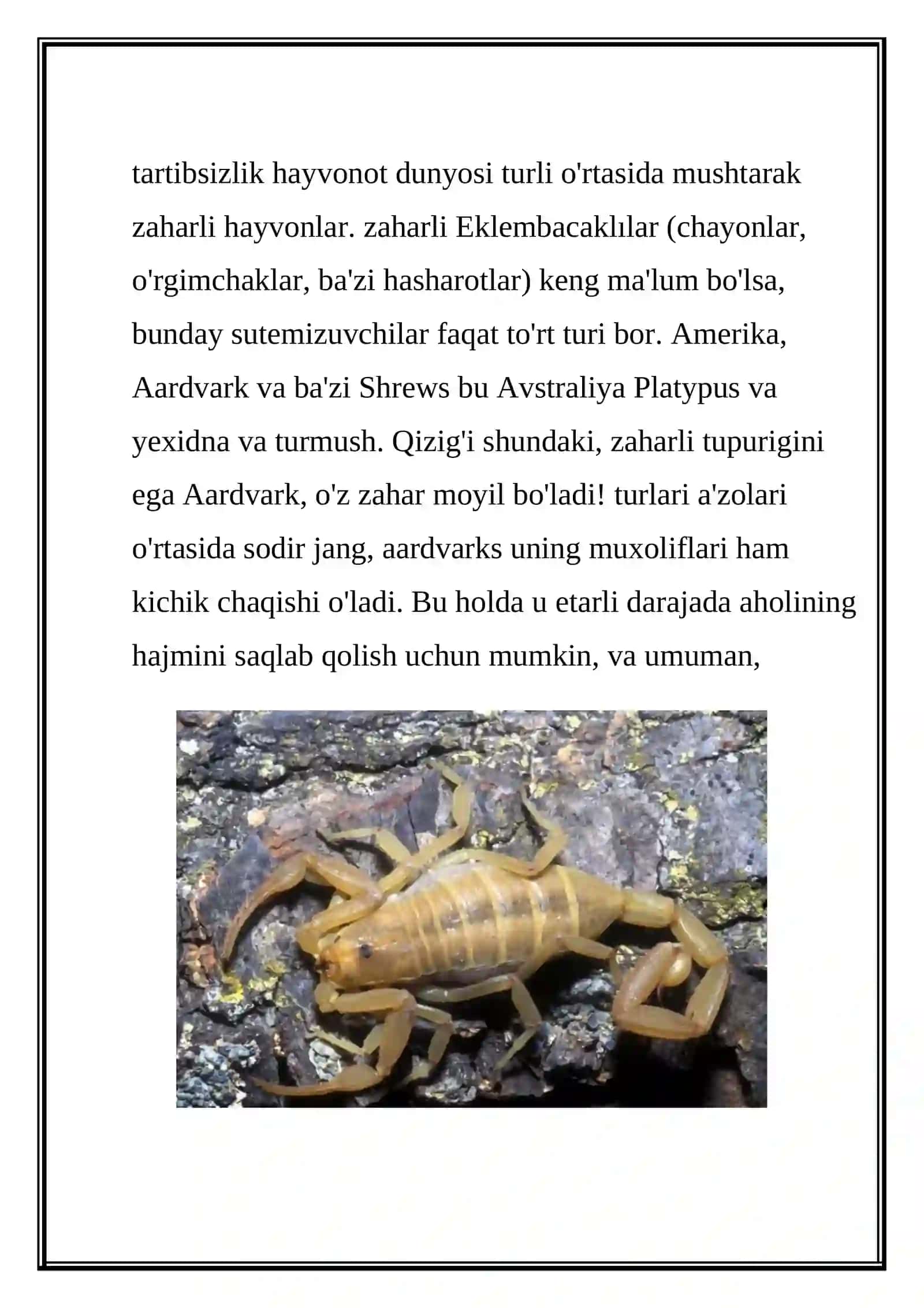 Zaharli Hayvonlar 2
