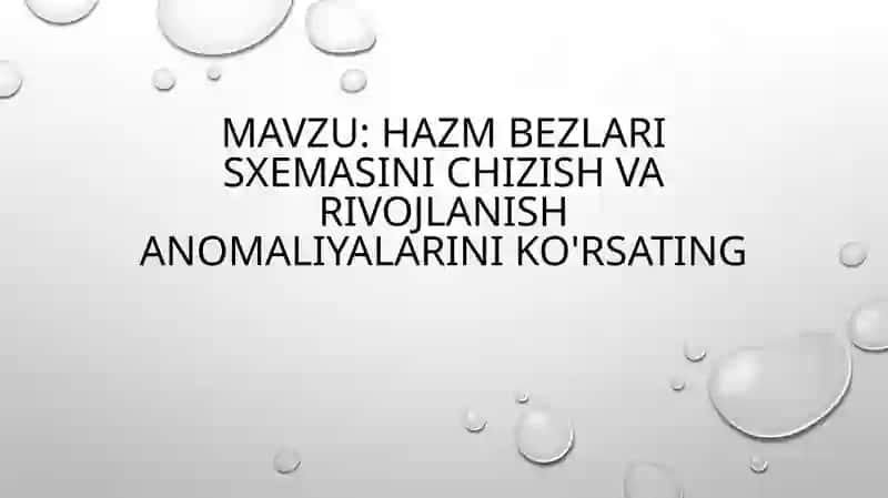 Hazm bezlarining umumiy tavsifi 2