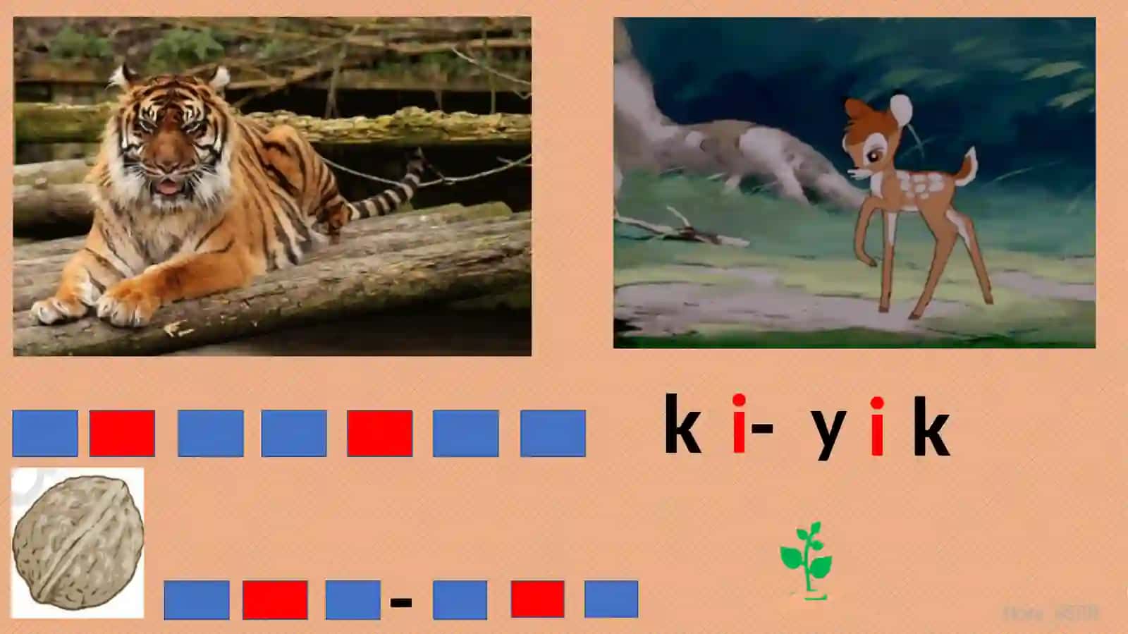 Y y tovushi va harfi 2