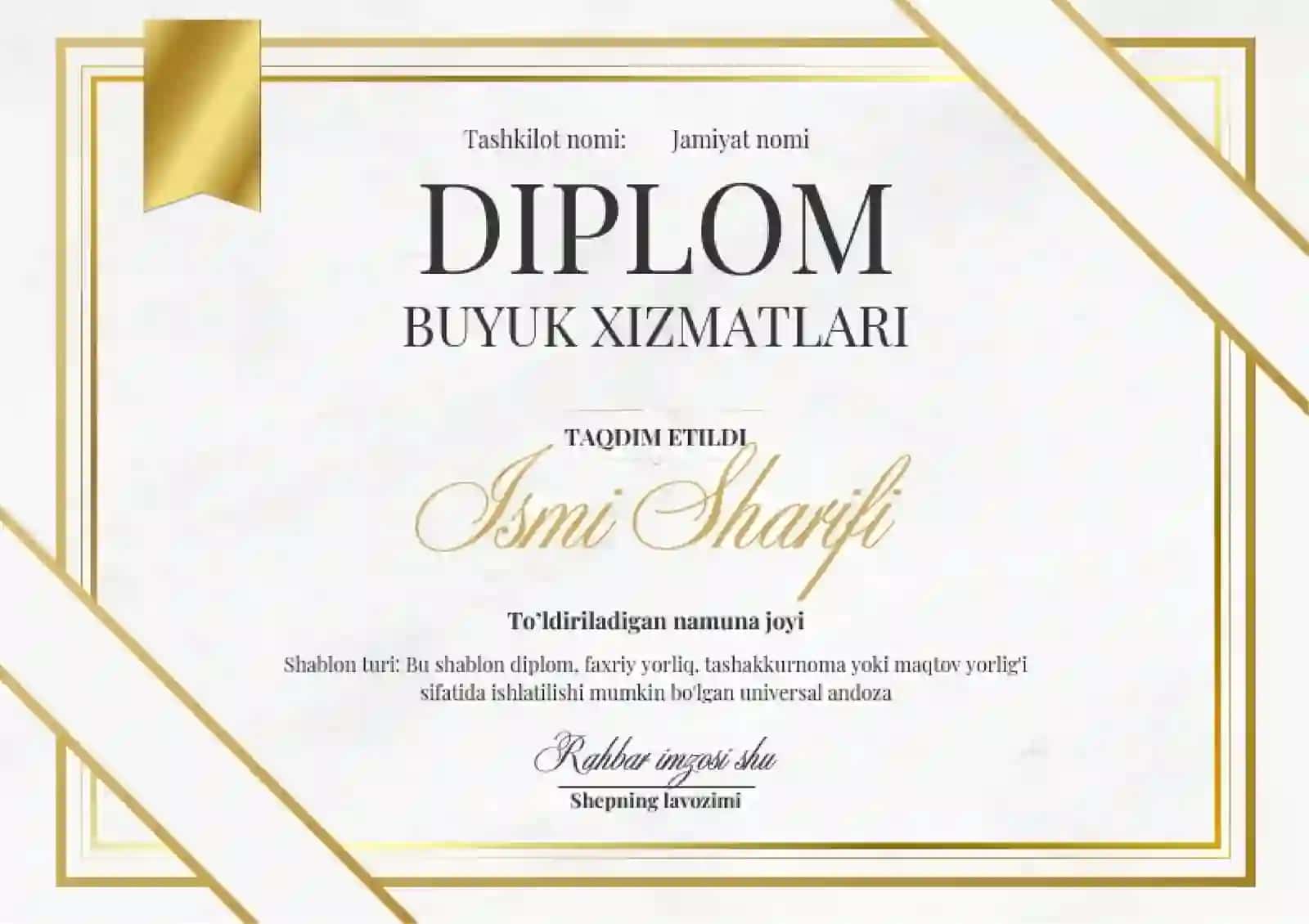 DIPLOM 2