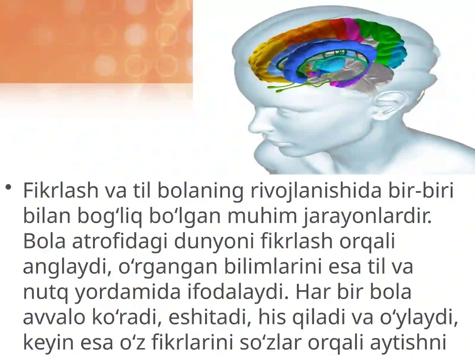 Fikrlash va tilning rivojlanishdagi bog'liqligi 2