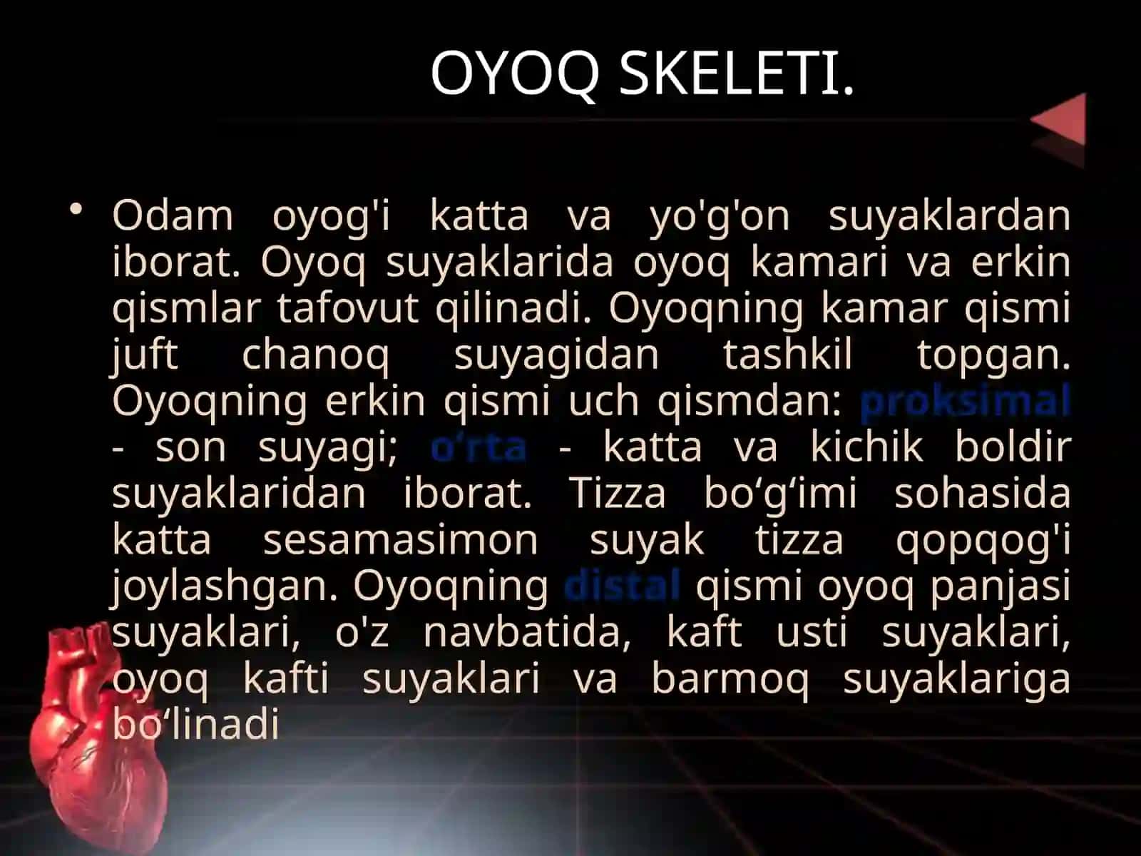 Osteologiya - tayanch harakat tizimi.  Oyoq suyaklari va qismlari 2