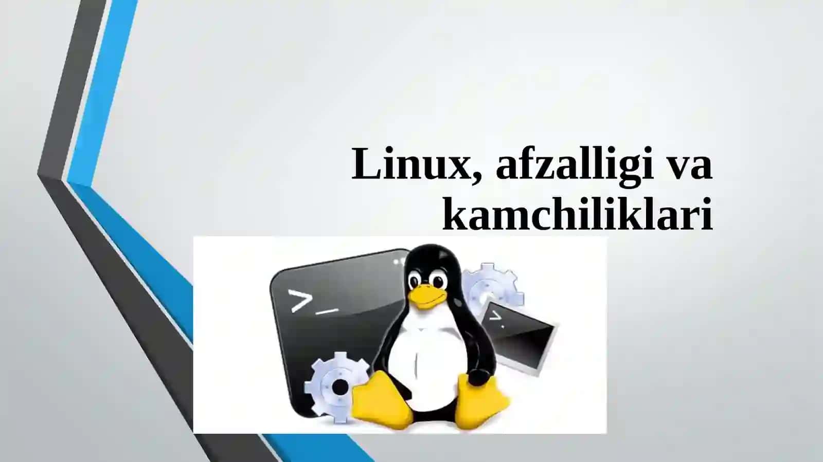 Linux Operatsion Tizimi Afzalliklari 2
