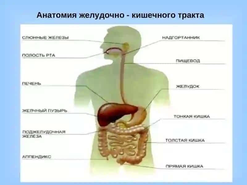 Заболевания толстого кишечника 2