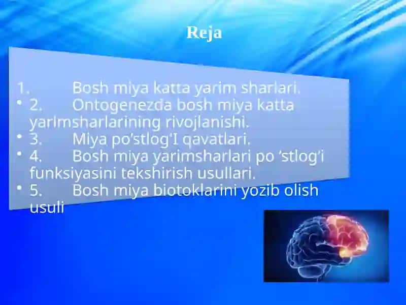 Boshmiyakattayarimsharlarivauningfunksiyalari 2
