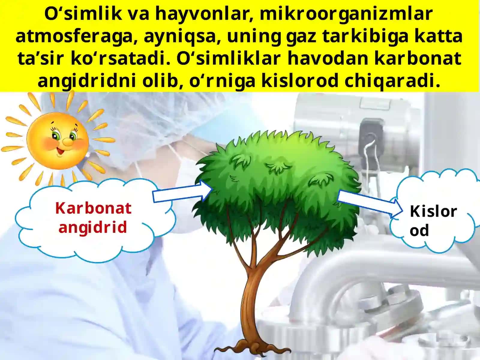 Organizmlarning yer qobiqlariga ta’siri 2