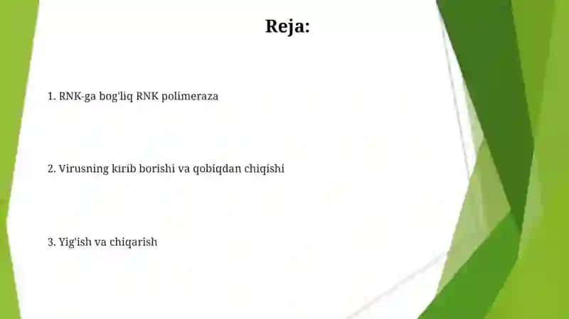 Virus gemonlaring replikatsiyasi transkripsiyasi 2