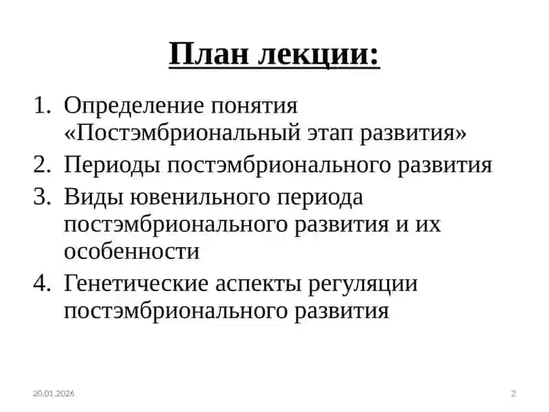 Виды постэмбрионального развития 2