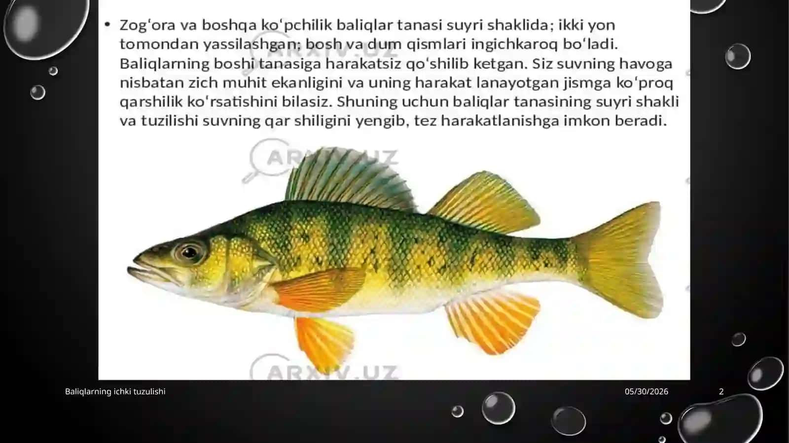 BALIQLARNING ICHKI TUZILISHI 2
