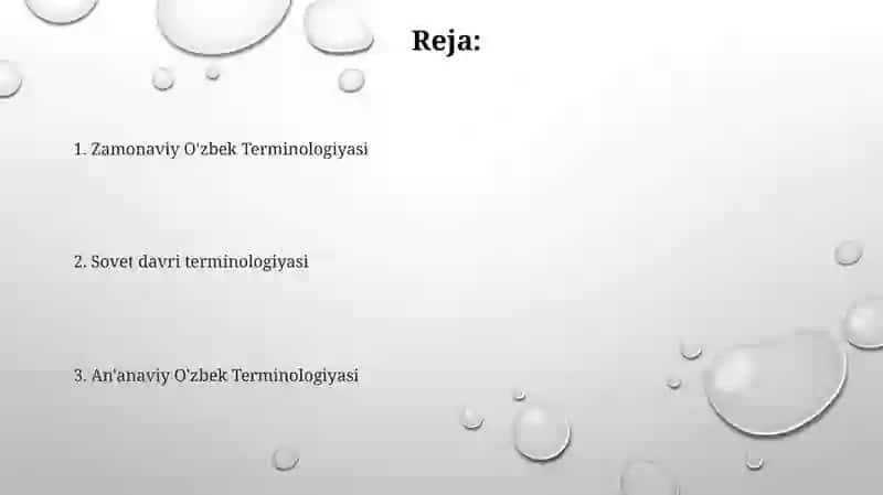 Oʻzbek terminologiyasi tizimining ikki katta turi 2
