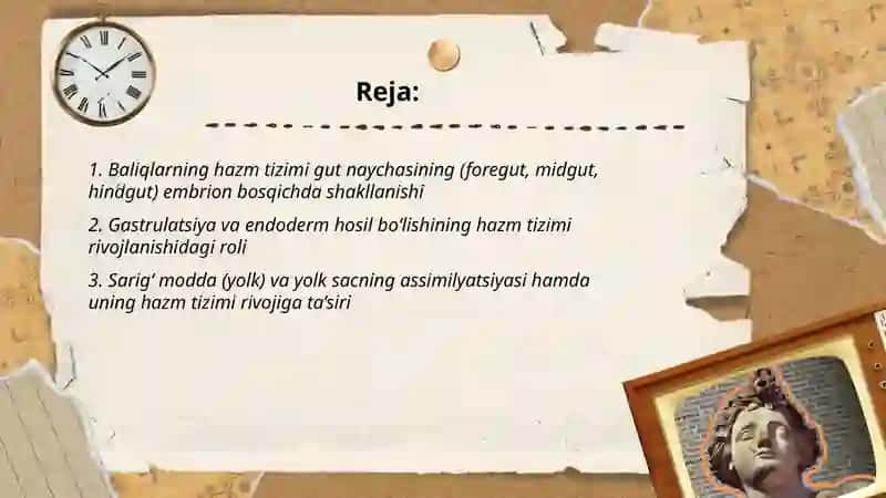 Baliqlarning hazm tizimining embrion rivojlanishi 2