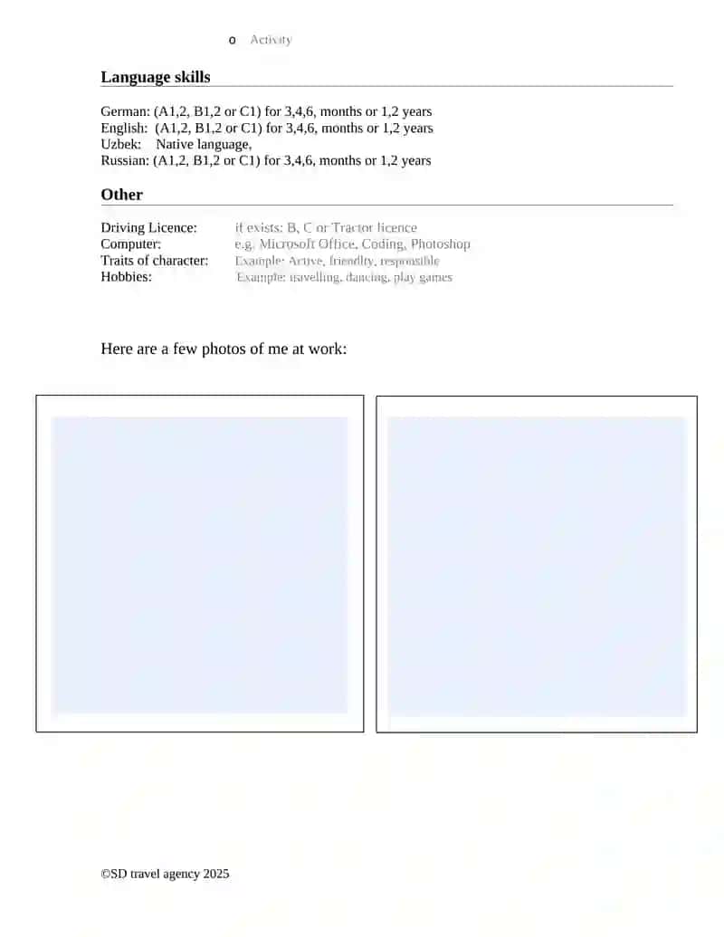 CV (Curriculum Vitae) 2
