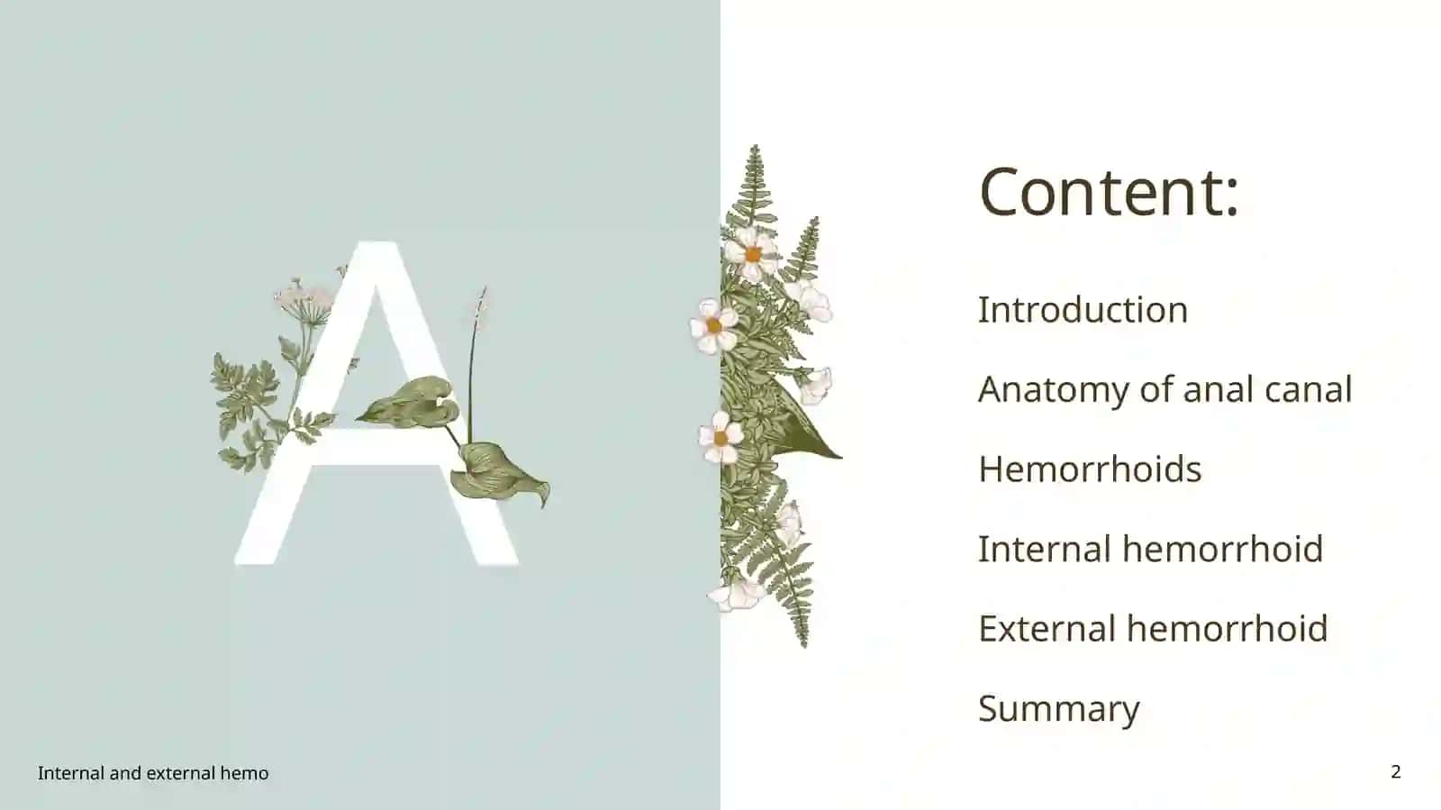 Internal and External Hemorrhoids 2