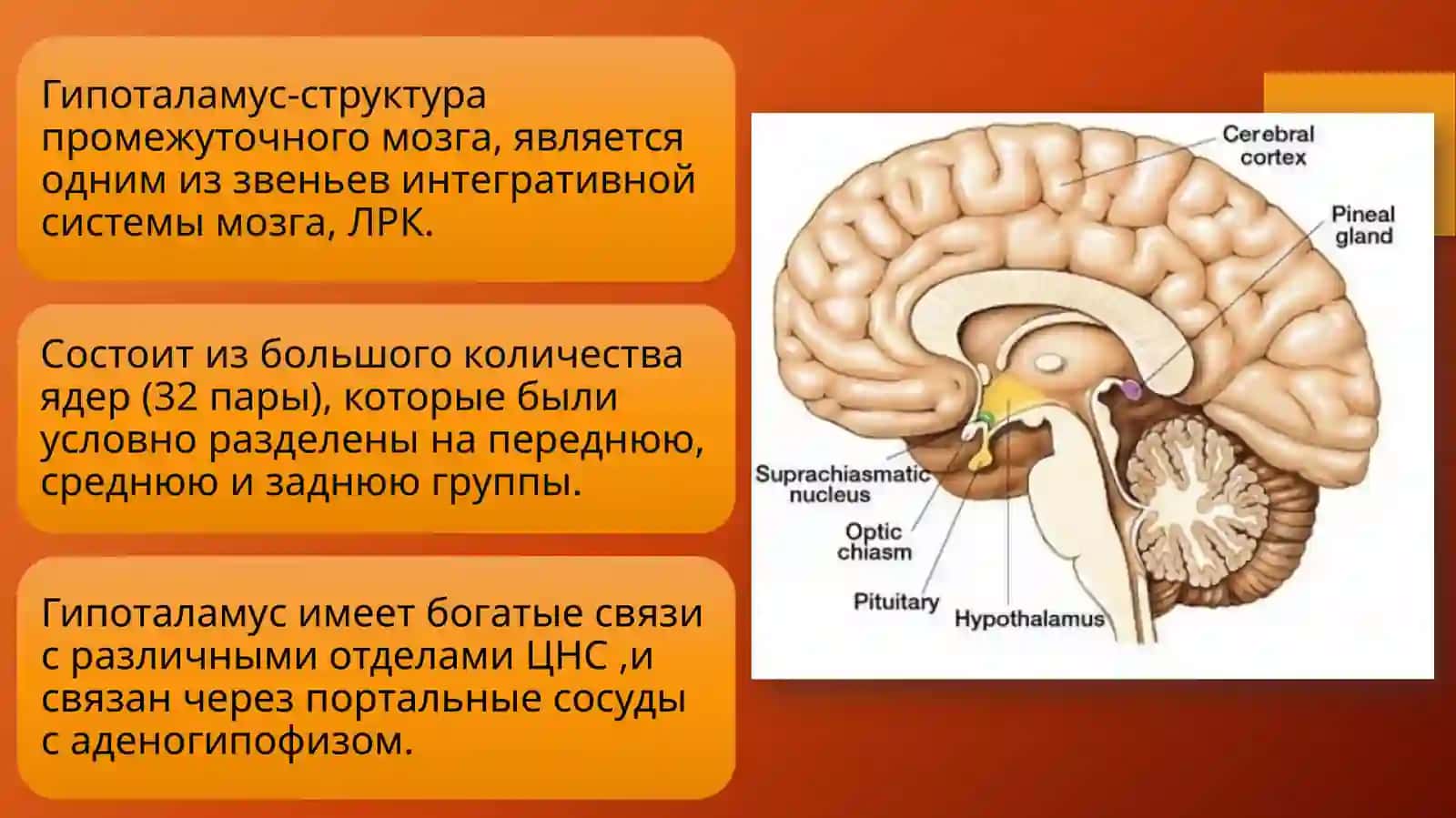 Гипоталамический синдром 2