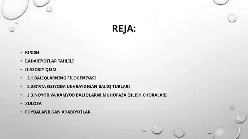 Baliqlarning Filogeniyasi 2