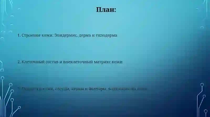 Строение и состав кожи 2