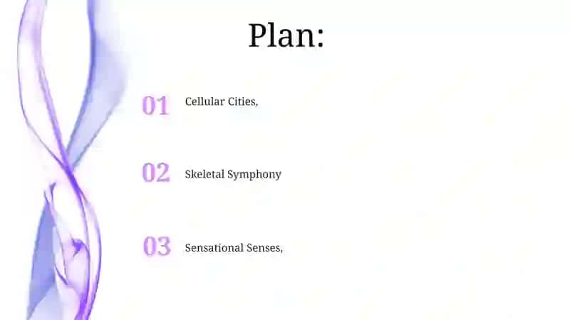 Skeletal System Spectacle 2