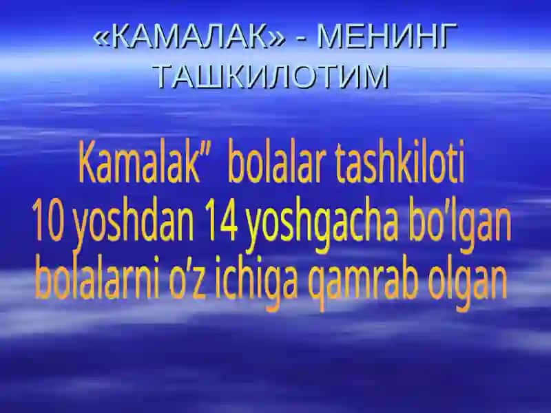 Kamalak bolalar tashkiloti 2