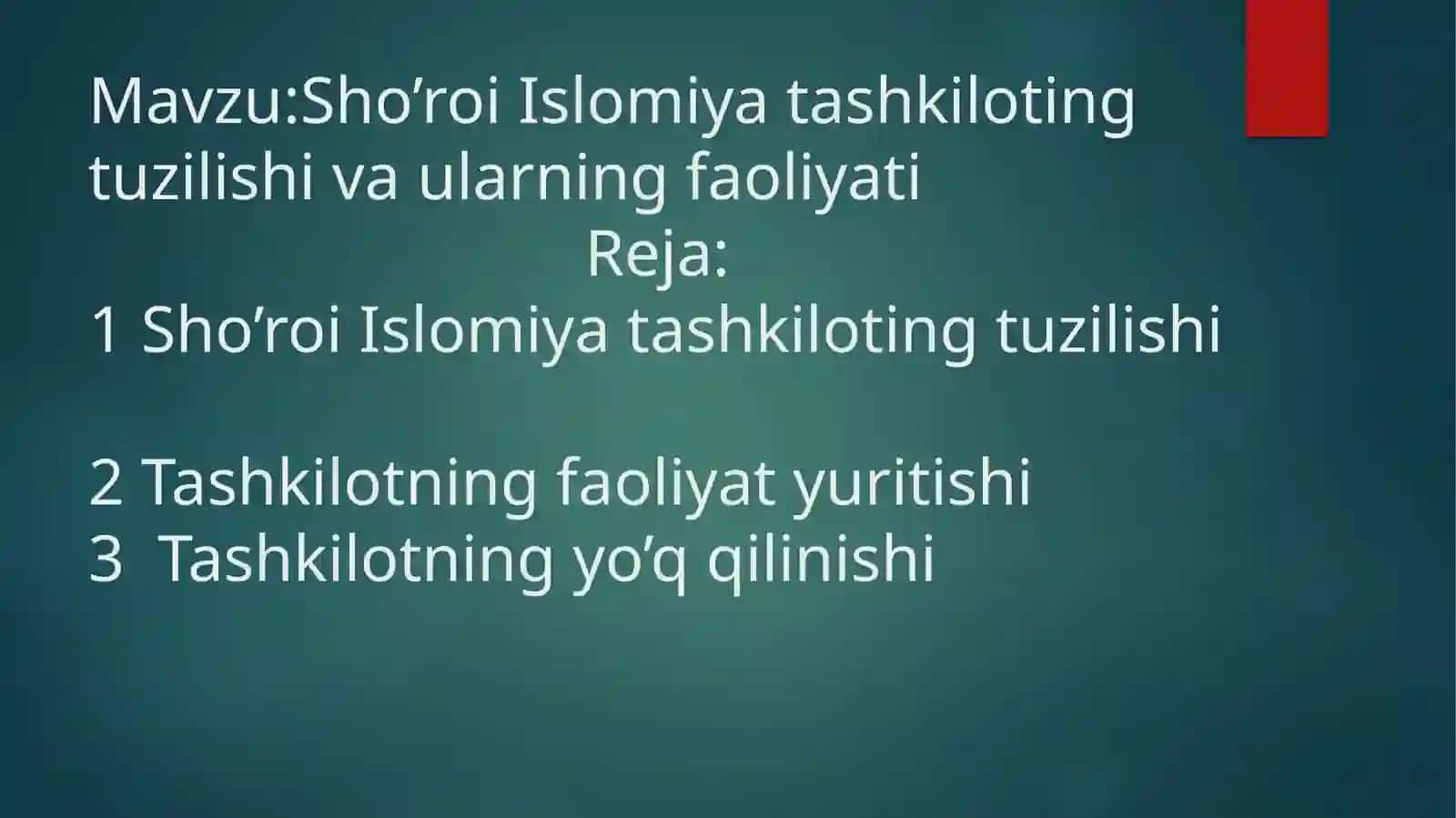 Sho’roi Islomiya tashkiloting tuzilishi va ularning faoliyati 2