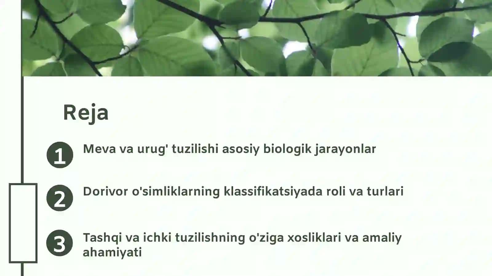 Meva va urug' tuzilishining klassifikatsiyasi 2