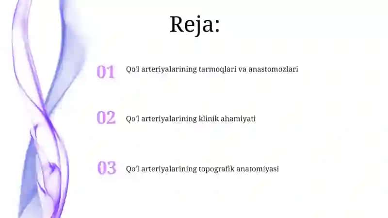 Anatomiya qoʻl arteriyasi 2